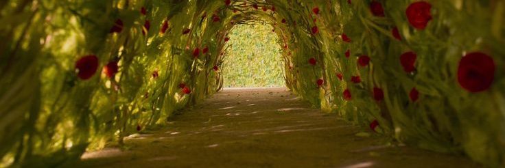 chipriw₍𝄐⩌𝄐₎ banner