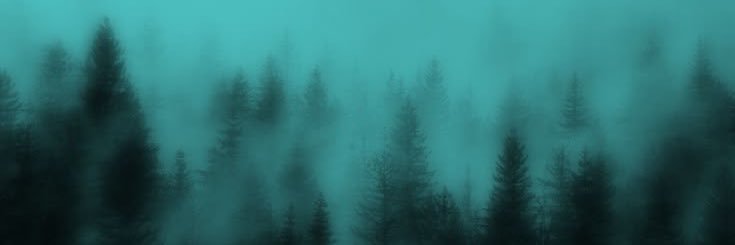 IIovespring's profile banner image