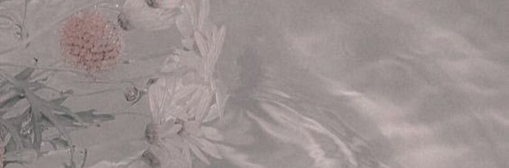wittywhitttt's profile banner image