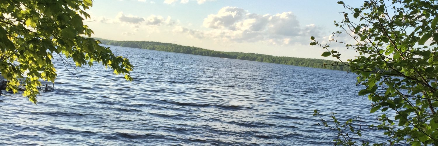laineyaxell's profile banner image