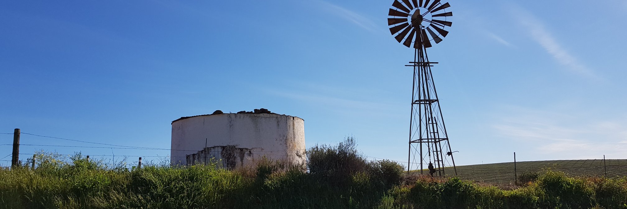 Warwick Anderson banner