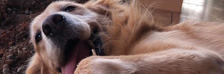 mari_av11's profile banner image