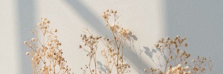 lhailey34's profile banner image