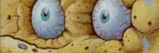 masta cheef banner