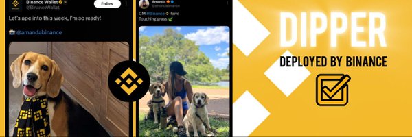 DipperOnBNB Profile Banner
