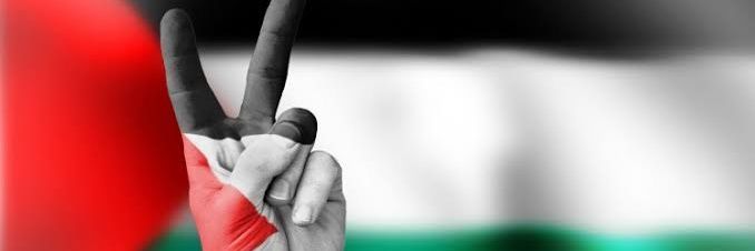 AliKaragol's profile banner image