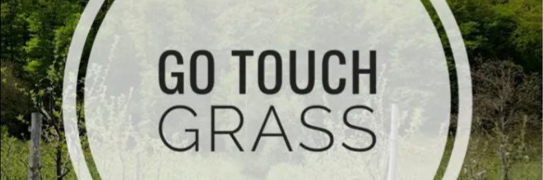 ✨La² Leone✨ banner