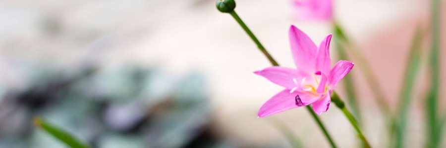 DontTouchHair's profile banner image