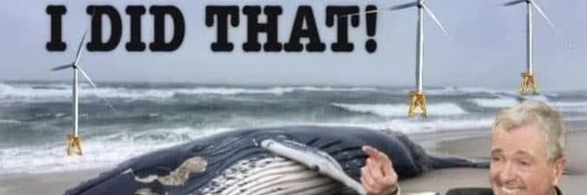 timmerighi's profile banner image