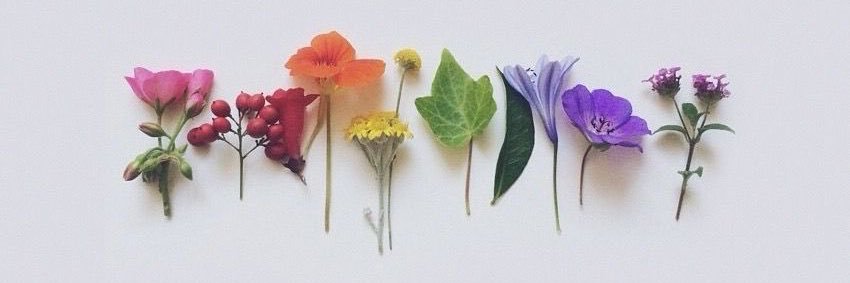 beckybloomm's profile banner image