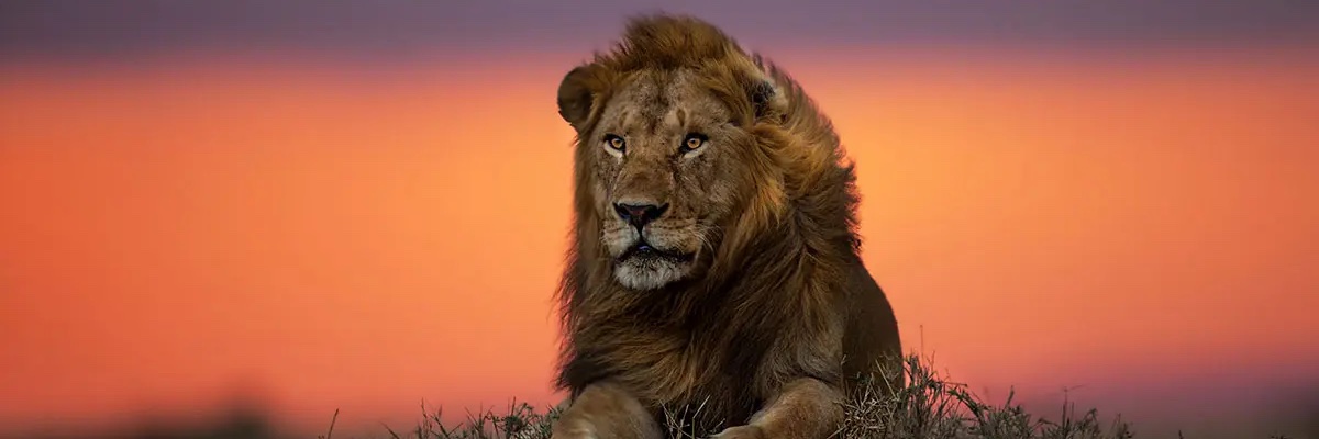 Aman_0904's profile banner image