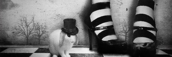 bleedingpaws_ Profile Banner