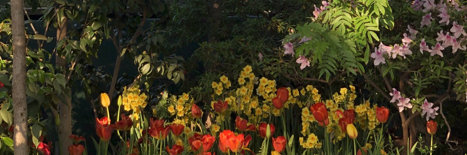 internetuser82's profile banner image