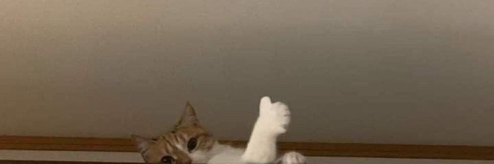 Someone banner