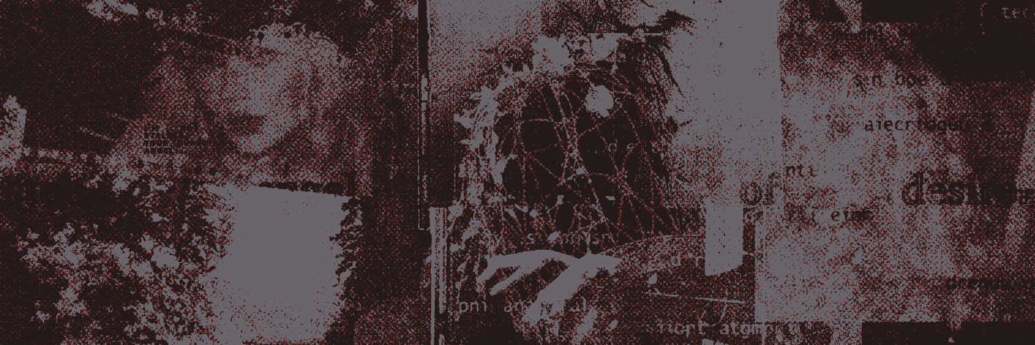 ‍ ‍ ‍𝔩𝔦𝔱𝔱𝔩𝔢 ‍ ‍ ‍ ‍ ‍ ‍ᵈ͟𝓸ve. ‍ ‍ ‍ ‍ღ banner