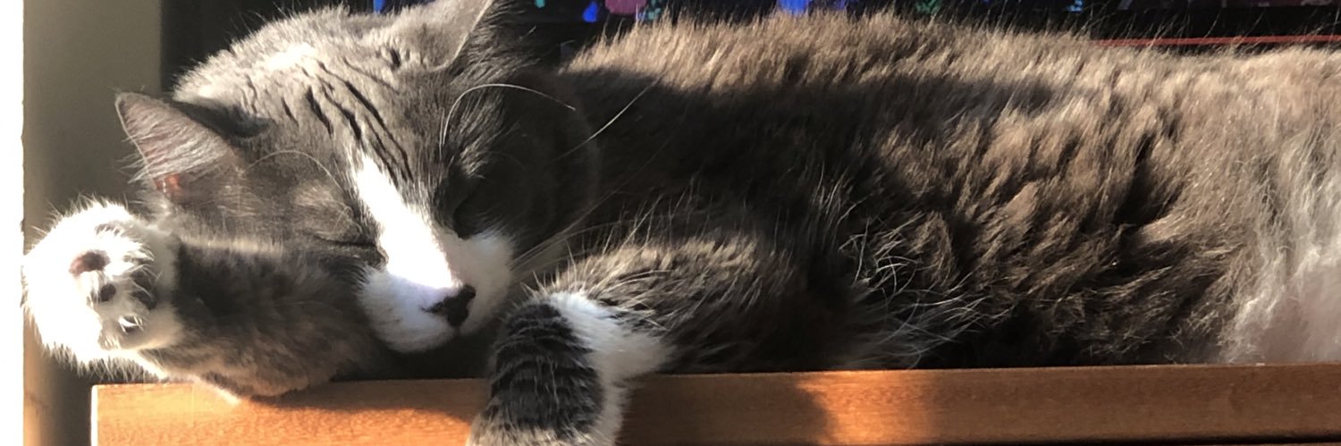 karlangelaa's profile banner image