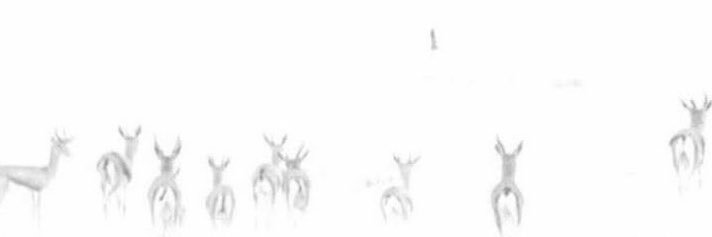 cl7vn1's profile banner image