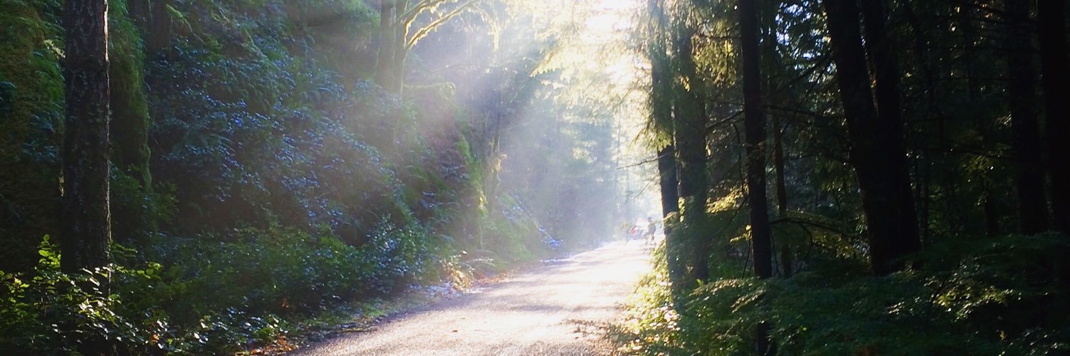 cody_canning's profile banner image