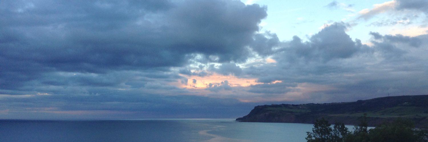 Moll 🏳️‍🌈 banner