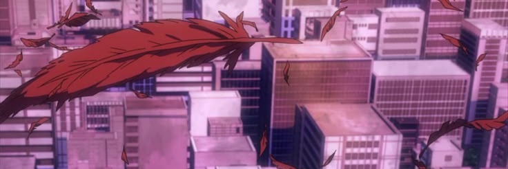 hawks's banner