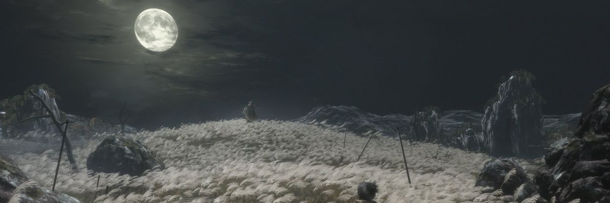 Apod 🇵🇸 banner