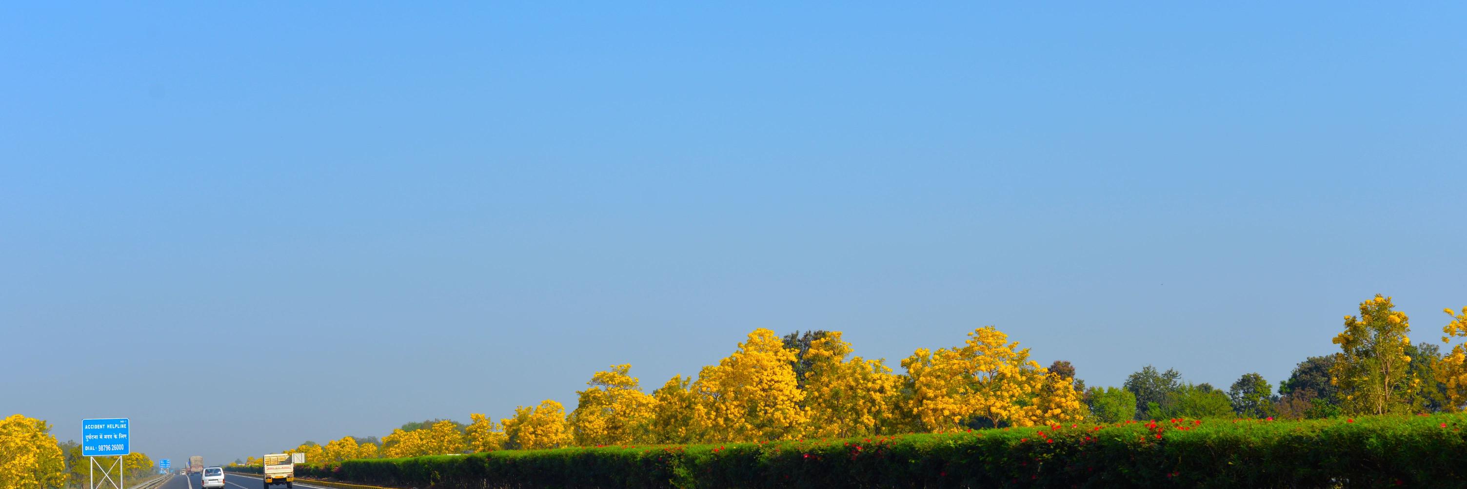 shashankpatel's profile banner image
