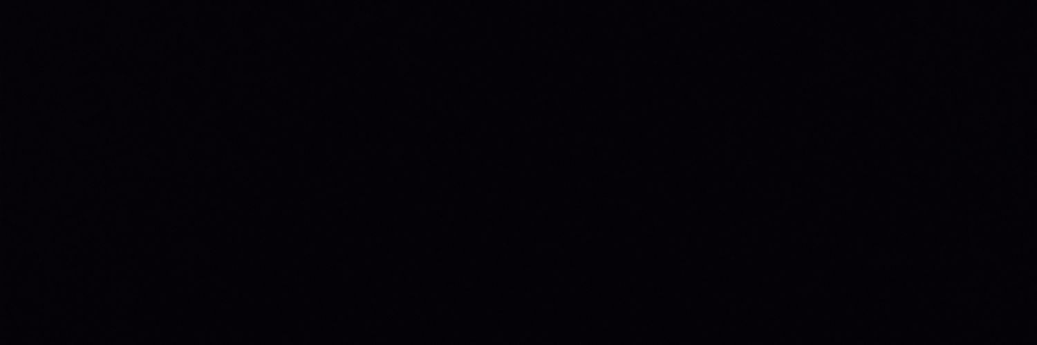gringofvm's profile banner image