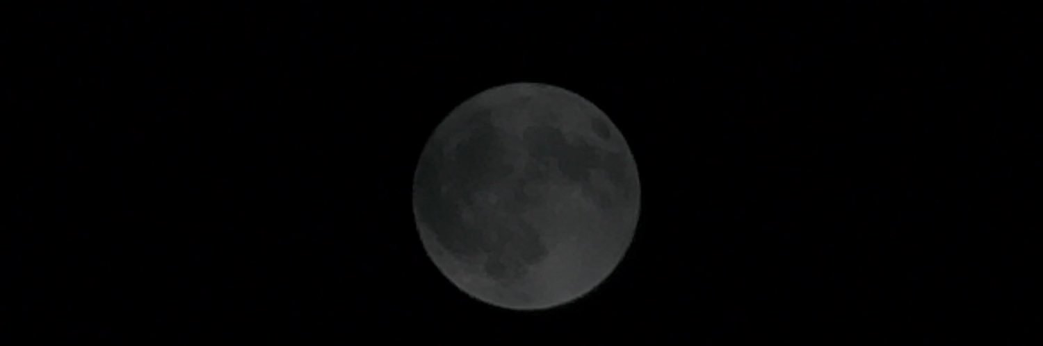 aprrrril_'s profile banner image