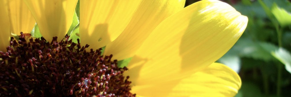 TJoBailey's profile banner image