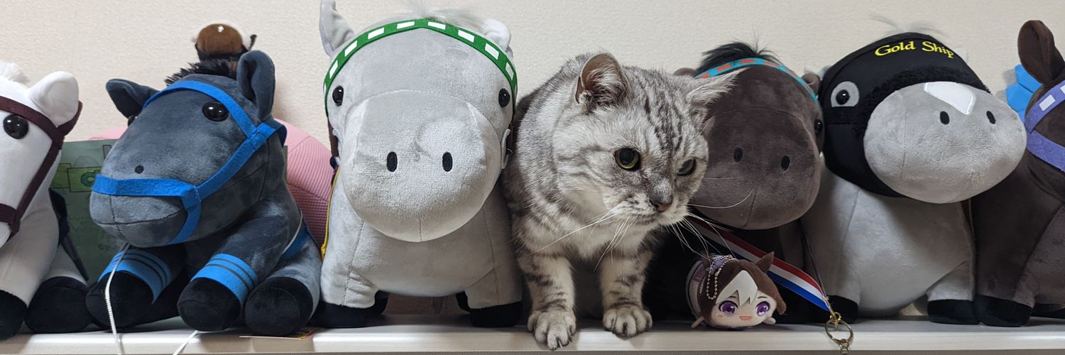 kizjunroots's profile banner image