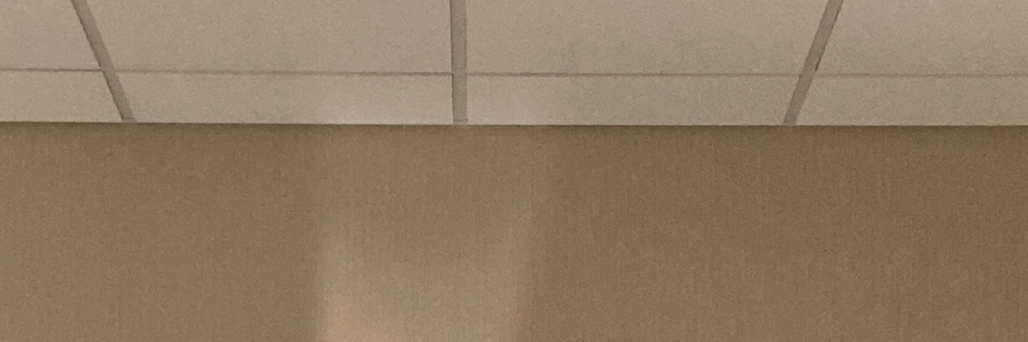 blishbarson's profile banner image