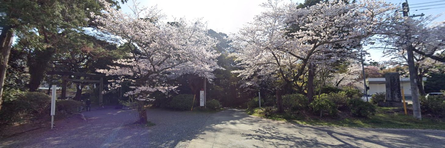 るのん banner