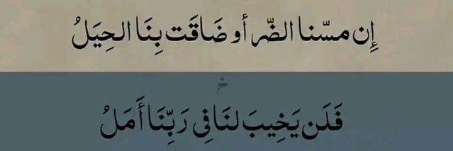 فاهمة 🦋 banner