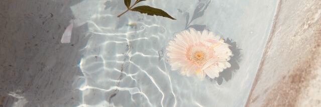 i banner