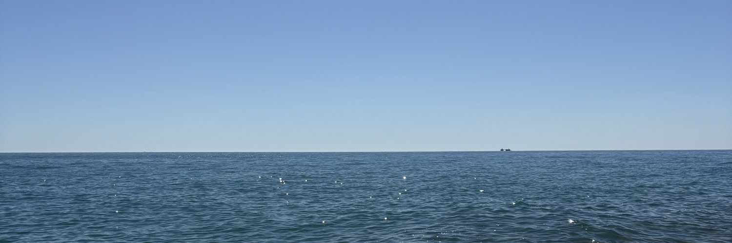 purpleturtle309's profile banner image