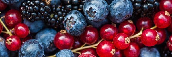 berrybluebot Profile Banner