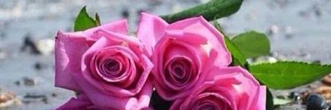 5599Qais's profile banner image