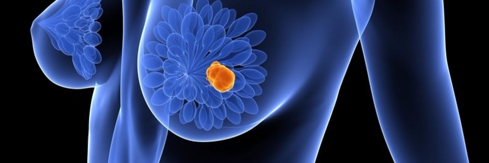 THENECT's profile banner image
