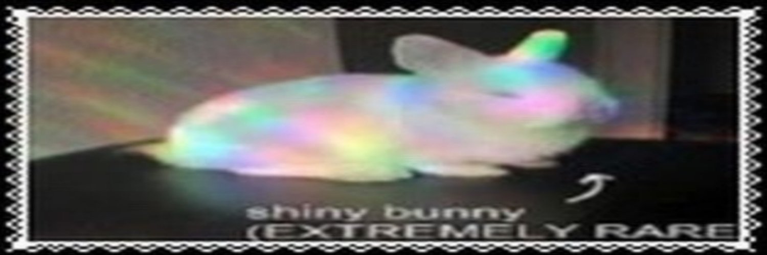 eompuddin's profile banner image