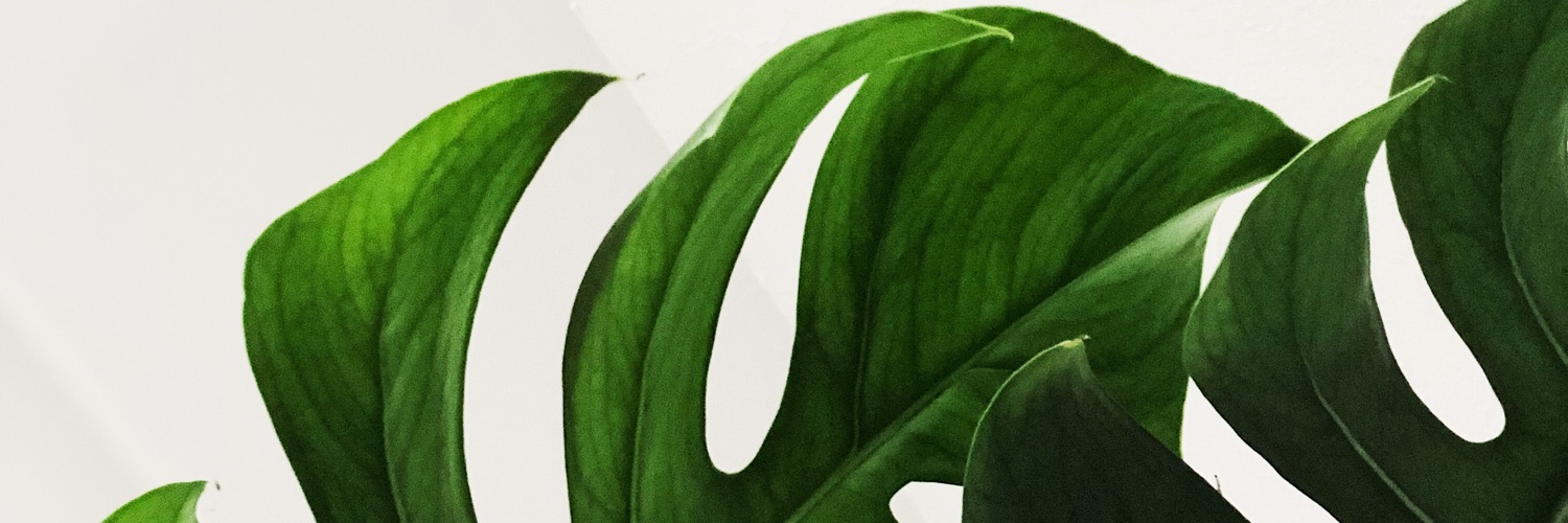 reyland's profile banner image