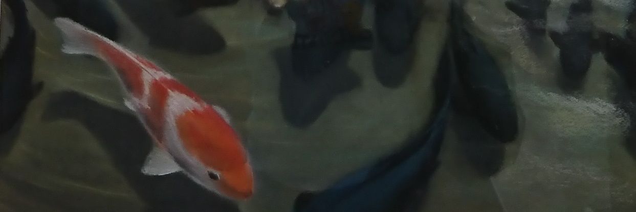 nyaxako's profile banner image