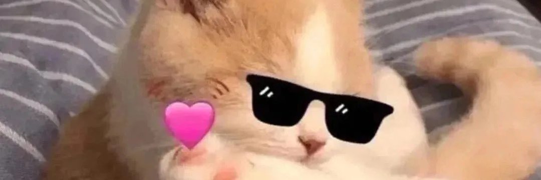 B9999999998's profile banner image
