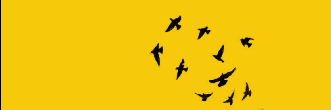 ᷂إيـلآف 🧚🏻‍♂️ ᷂إلحارثـي banner
