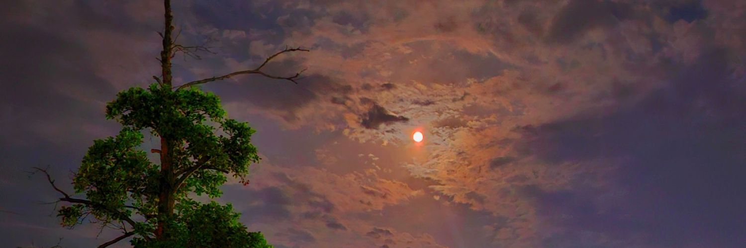 عیضا banner