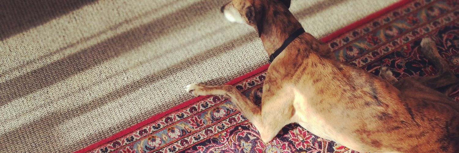 Princess Kristy banner