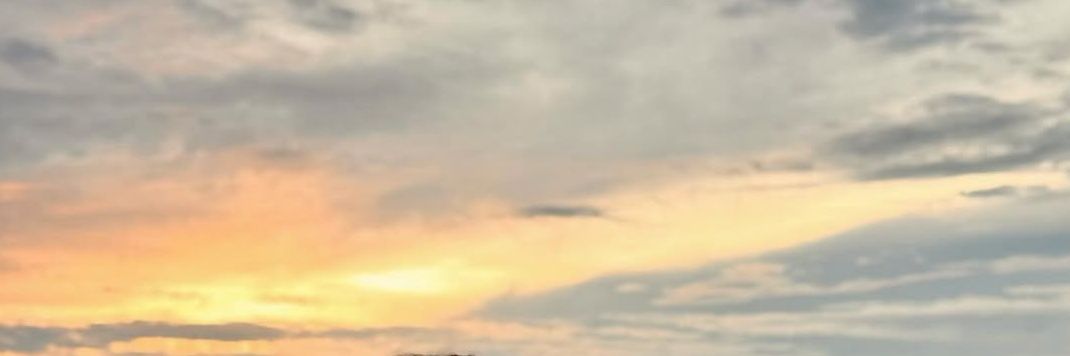 traaa banner