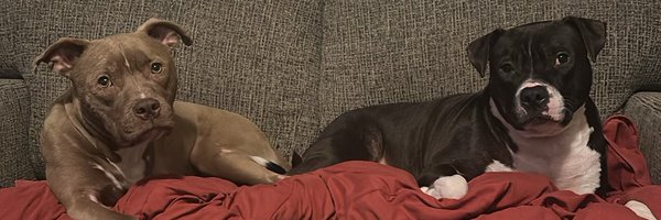 ODSTvolky Profile Banner