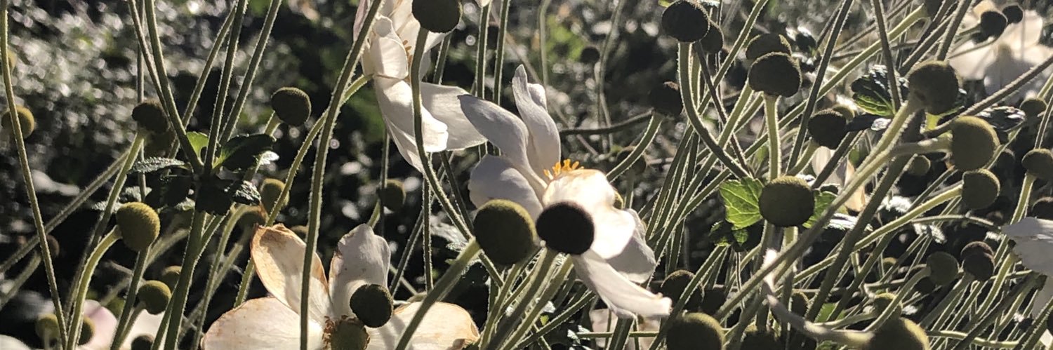 claire_fix's profile banner image