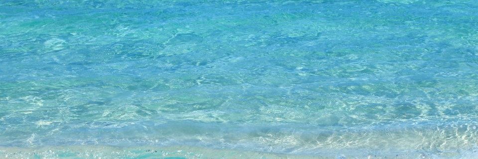 Javi banner