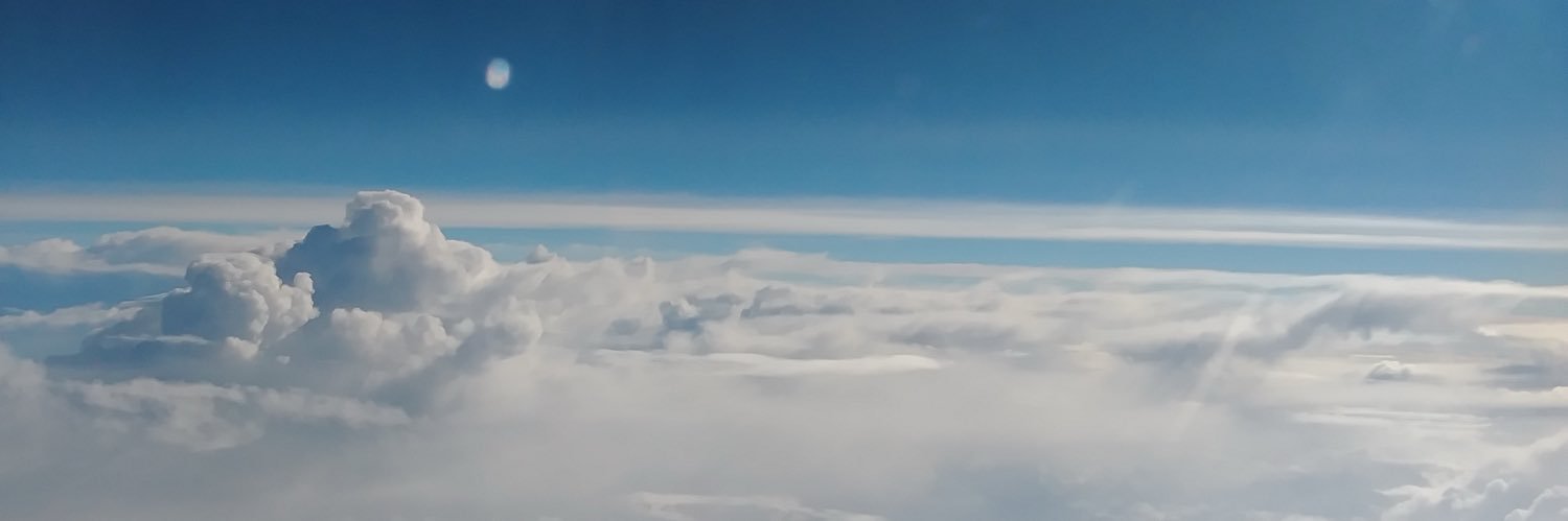 tashisflowers's profile banner image